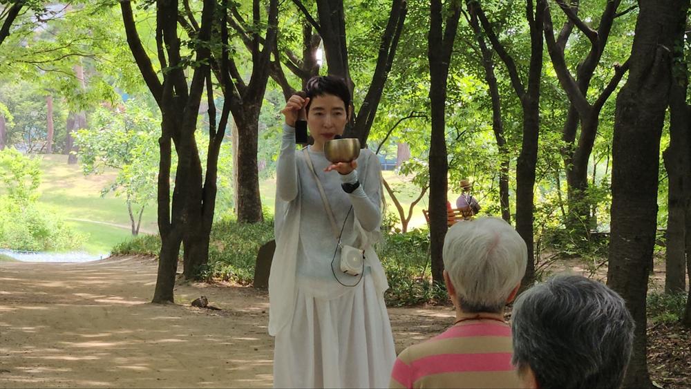 숲길 걷기 명상